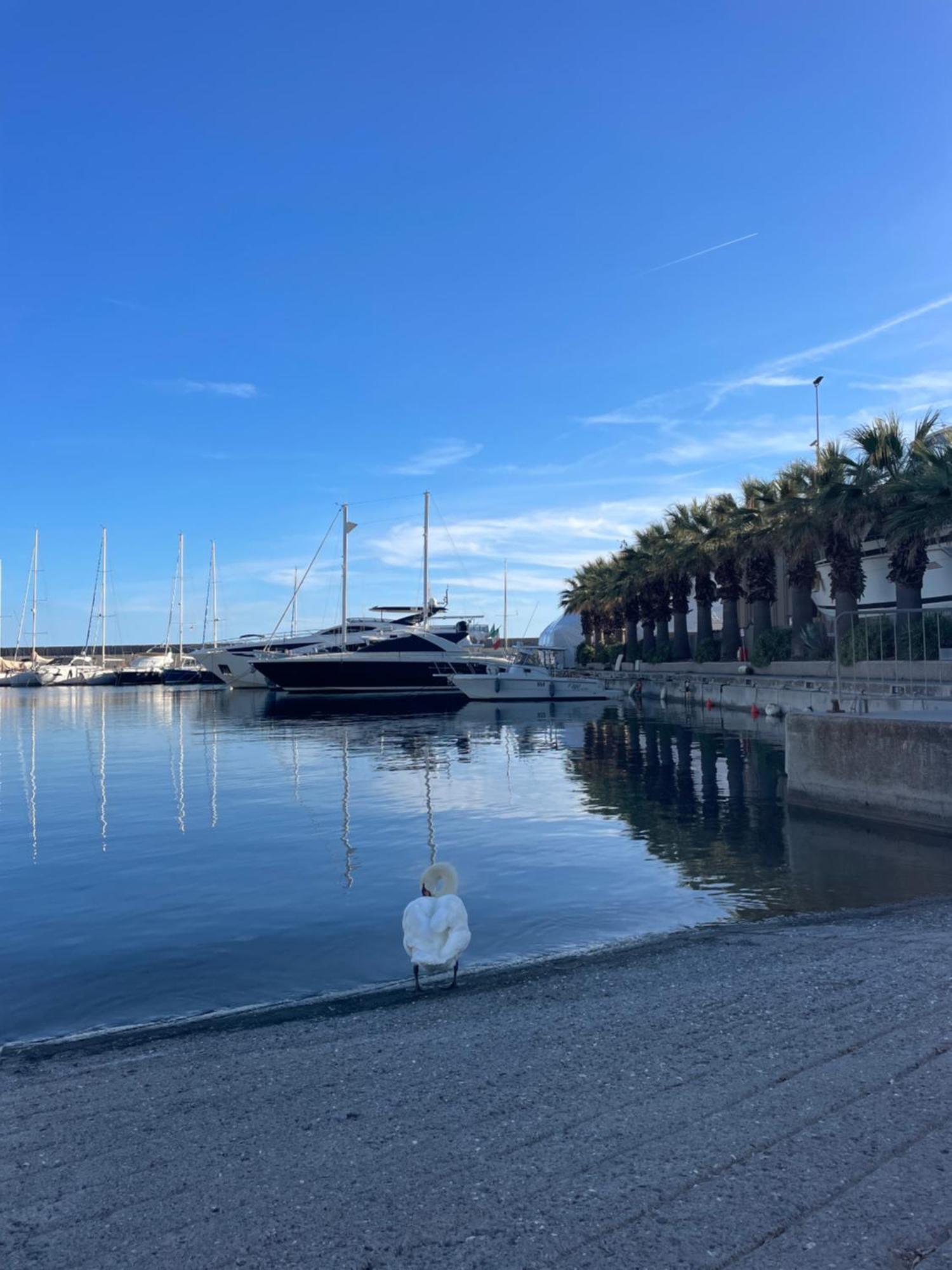 Bistrot Del Mare Apartment Santo Stefano al Mare Luaran gambar